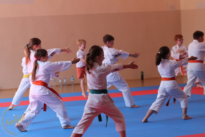 ABiRO-KarateCamp-846
