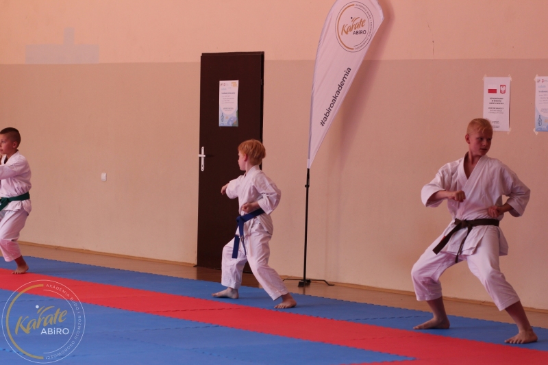 ABiRO-KarateCamp-847