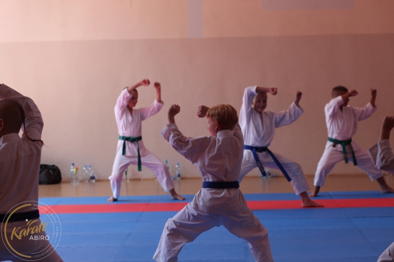 ABiRO-KarateCamp-848