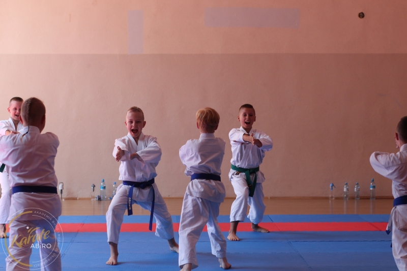 ABiRO-KarateCamp-849