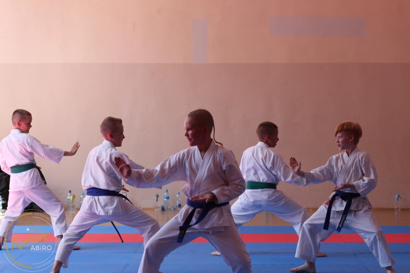 ABiRO-KarateCamp-850