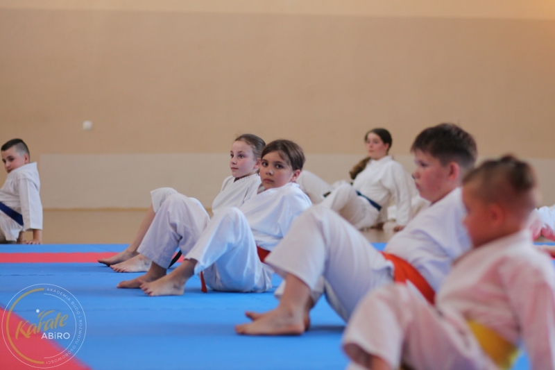 ABiRO-KarateCamp-853