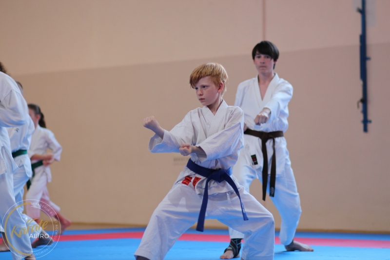 ABiRO-KarateCamp-858