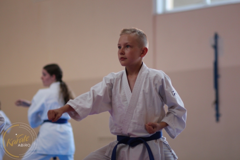 ABiRO-KarateCamp-859