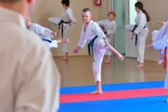 ABiRO-KarateCamp-071