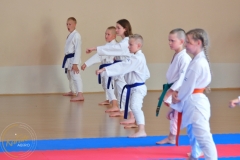 ABiRO-KarateCamp-073