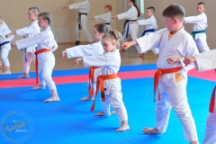 ABiRO-KarateCamp-074