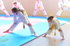 ABiRO-KarateCamp-075