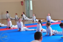 ABiRO-KarateCamp-076