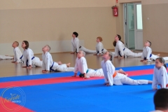 ABiRO-KarateCamp-077