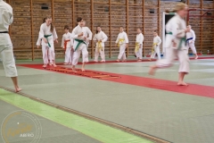 ABiRO-Kumite-1-015