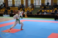 ABiRO-VI-NTKCz-114