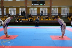 ABiRO-VI-NTKCz-118
