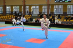 ABiRO-VI-NTKCz-128