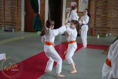 ABiRO-Kumite-2-085
