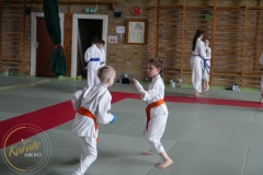 ABiRO-Kumite-2-103