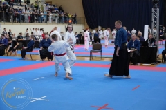 ABiRO-MPolski-2023-021