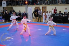 ABiRO-MPolski-2023-028