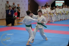 ABiRO-MPolski-2023-032