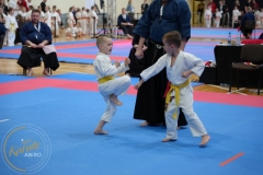 ABiRO-MPolski-2023-036