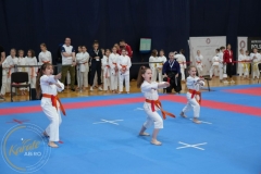 ABiRO-MPolski-2023-063