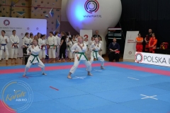 ABiRO-MPolski-2023-065