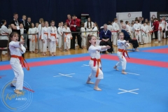 ABiRO-MPolski-2023-072