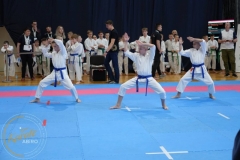 ABiRO-MPolski-2023-073