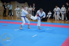 ABiRO-MPolski-2023-078