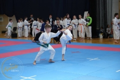 ABiRO-MPolski-2023-080