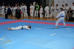 ABiRO-MPolski-2023-082