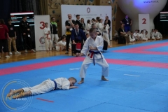 ABiRO-MPolski-2023-083