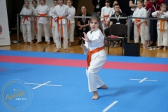 ABiRO-MPolski-2023-086