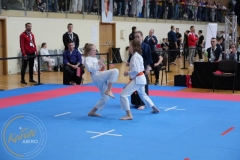 ABiRO-MPolski-2023-089