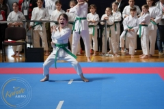 ABiRO-MPolski-2023-094