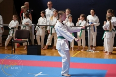 ABiRO-MPolski-2023-098