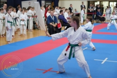 ABiRO-MPolski-2023-101