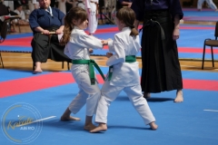 ABiRO-MPolski-2023-111