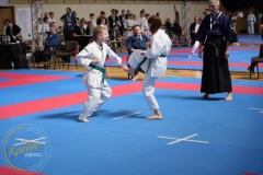 ABiRO-MPolski-2023-112
