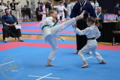 ABiRO-MPolski-2023-115