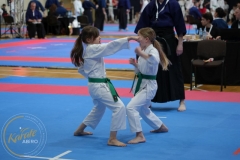 ABiRO-MPolski-2023-117
