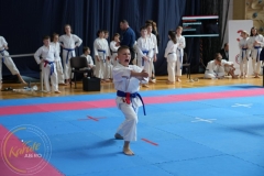 ABiRO-MPolski-2023-124