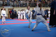 ABiRO-MPolski-2023-130