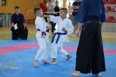 ABiRO-MKCUP-2023-101