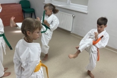 ABiRO-PzK-Lato-2023-056