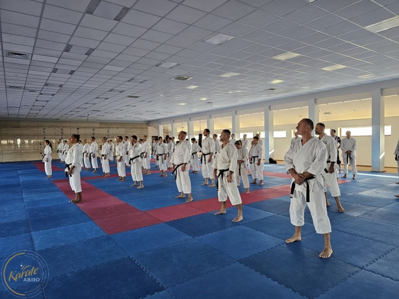 ABiRO-SemNC-03