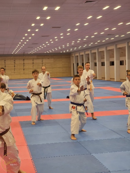 ABiRO-SemNC-06