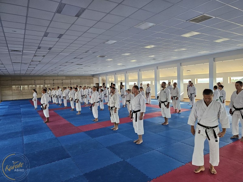ABiRO-SemNC-12
