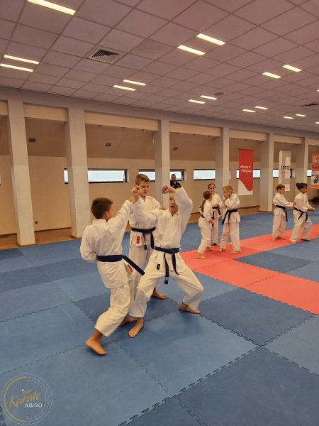 ABiRO-SemNC-18