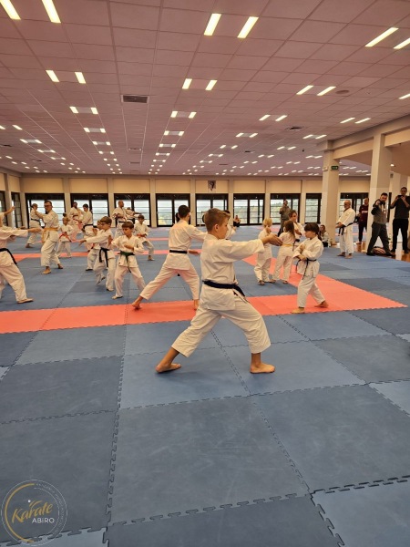 ABiRO-SemNC-21